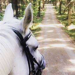 Ridning Bornholm, Rønne åbningstider