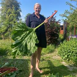 HJERTEGRÆS Stavtrup Privat pasningsordning, Viby J åbningstider