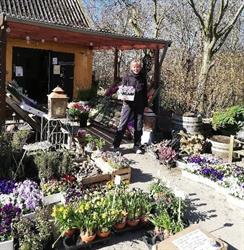 Bente's Gårdbutik, Ølstykke åbningstider