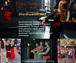 Fyns Flamencoskole - La Luna, Nyborg åbningstider
