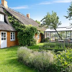 Tranehuset - Holiday Cottage for rental - Møns Klint, Borre åbningstider