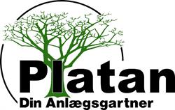 Platan, Ringsted åbningstider
