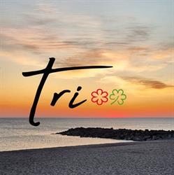 Restaurant tri, Vestervig åbningstider