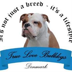 TrueLove Bulldogs Denmark, Gørding åbningstider