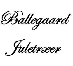 Juletræer på Ballegaard, Horsens åbningstider