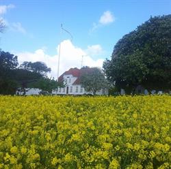 Linderupgaard Agro & Construction, Fårevejle åbningstider