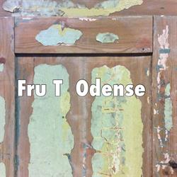 Fru T Odense IVS, åbningstider