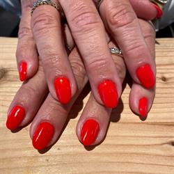 Nail Supply, Bramming åbningstider