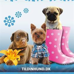 Tildinhund.dk, Haslev åbningstider