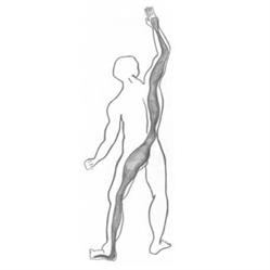 Body in Line, Hammel åbningstider