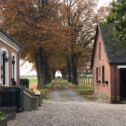 Botilbuddet Engsgaard, Nørre Alslev åbningstider