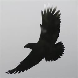 Plejehjemmet Falkenberg, Ålsgårde åbningstider