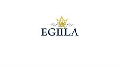 Egiila - Hypnose online, Horsens åbningstider