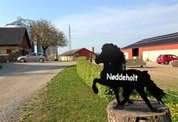 Nøddeholt Rideterapi, Sandved åbningstider