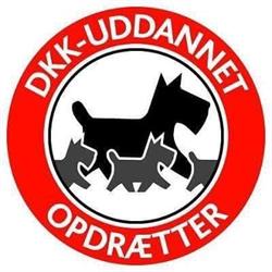 Engholm_enges_labrador, Brønderslev åbningstider