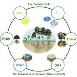 Permaculture Farmers, Give åbningstider