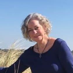 Klinik Hald Biodynamisk Kranio Sakral Terapi, Gedsted åbningstider