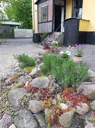 Trampedach Suiten, Østermarie åbningstider