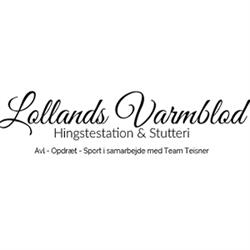 Lollands Varmblod, Errindlev åbningstider