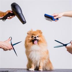 Aabybro Hundeklip, åbningstider