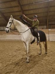 Staalsø Equestrian, Roskilde åbningstider