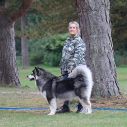 Hunde Specialisten, Vig åbningstider