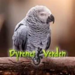 Dyrenes Verden Filskov, Grindsted åbningstider