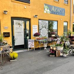 Acacia Blomster i Frederikssund (N) åbningstider