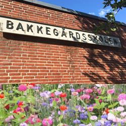 Bakkegårdsskolen i Trige (N) åbningstider