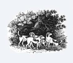 Birkemosegård Hunde-og Kattepension, Tikøb åbningstider