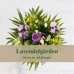 Blomsterforr.lavendelgården i Bjæverskov (N) åbningstider