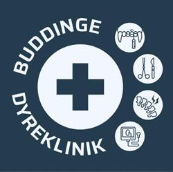 Buddinge Dyreklinik i Bagsværd (N) åbningstider