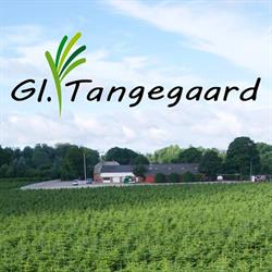 Gl. Tangegård Aps Kurt Nielsen i Hesselager (N) åbningstider