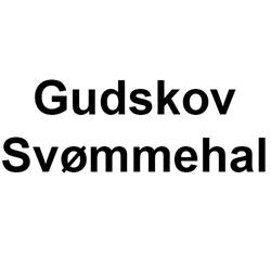 Gudskov Svømmehal i Otterup (N) åbningstider