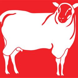 Højbogård v/Selma Bergenholz i Helsinge (N) åbningstider