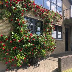 Kildehuset Fountain-House i Aalborg, Nørresundby åbningstider