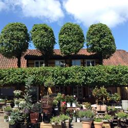 Kirkepladsens Blomster Vinladen i Mariager (N) åbningstider