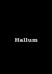 M Hallum a/S Manufakturforretning i Esbjerg (N) åbningstider