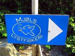 Mjols Lystfiskeri i Rødekro (N) åbningstider
