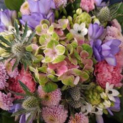 Nybo Blomster V/ Vibeke Loklindt i Esbjerg (N) åbningstider