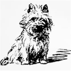 Odense Hundesalon, Tommerup åbningstider