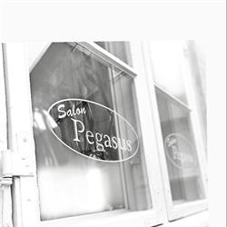 Salon Pegasus, Næstved åbningstider