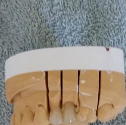 LS Sønderborg Dental ApS, åbningstider