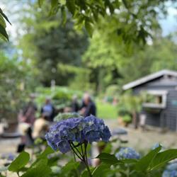 Tambours Have, Varde åbningstider