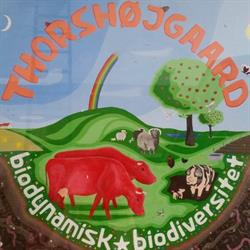 Thorshøjgaard, Dronningmølle åbningstider