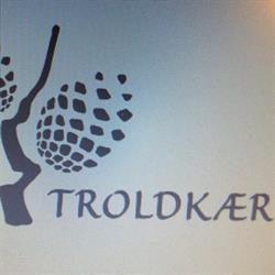 Troldkærskolen i Rødding (N) åbningstider