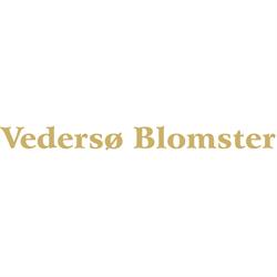 Vedersø Blomster, Hørning åbningstider