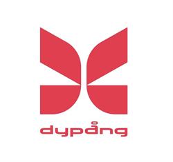 Dypång Management i Aarhus (C) åbningstider