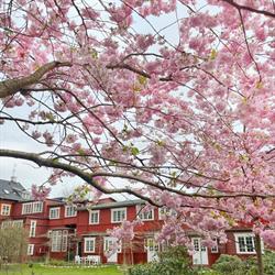 Hotel Hornbækhus, åbningstider