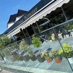 Trane Blomster i Randers (Nv) åbningstider